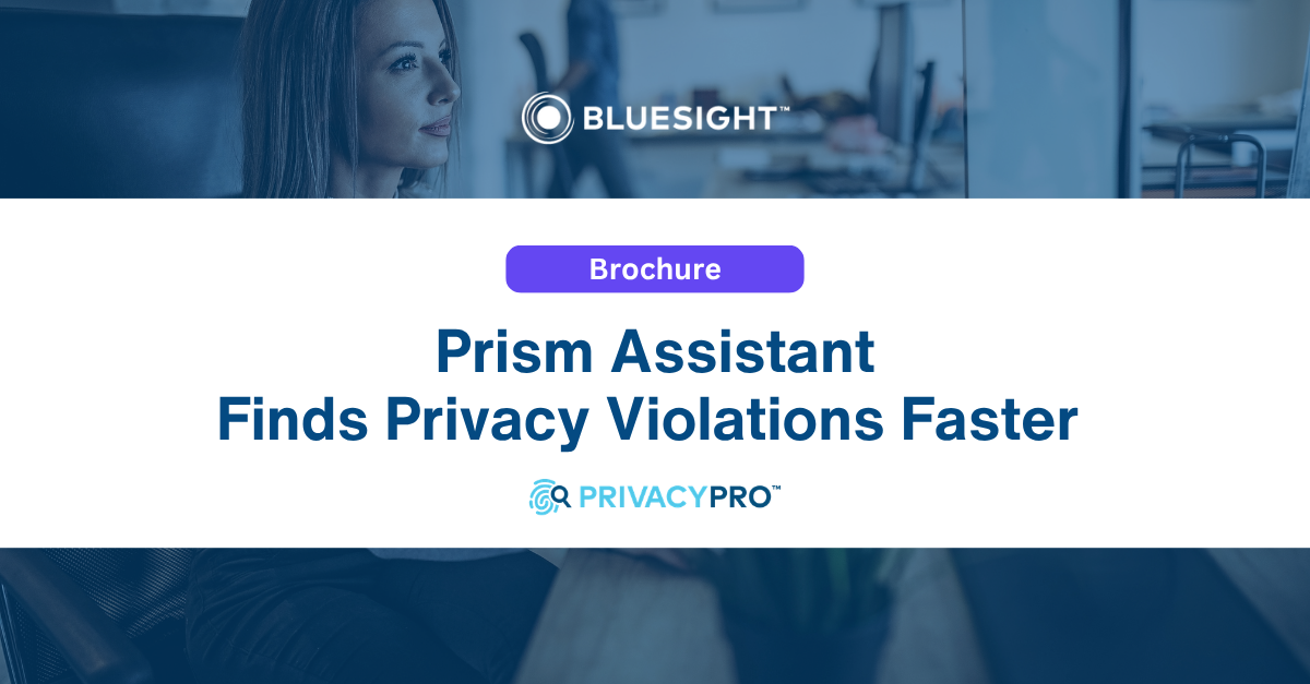 Prism Assistant Finds Privacy Violations Faster